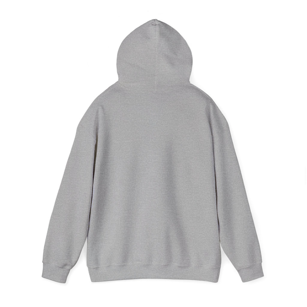 Festival Vibes Hoodie — 'Jago Fest' Colorful Retro Music Poster Design